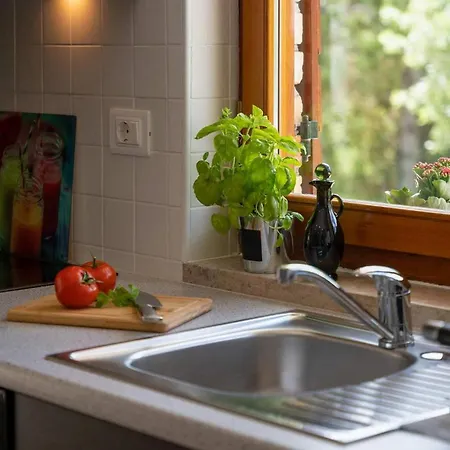 Casa Ivan בית נופש פאזין