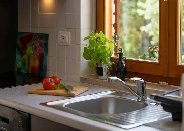 Casa Ivan 펜션 파진